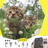 『劇場版 岩合光昭の世界ネコ歩き コトラ家族と世界のいいコたち』　（C）Mitsuaki Iwago