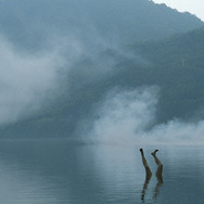 犬神家の一族 (2006) 7枚目の写真・画像