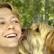 ラブいぬ ベンジー／はじめての冒険 3枚目の写真・画像