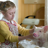 シャーロットのおくりもの (2006) 4枚目の写真・画像