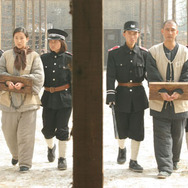 鳳凰　わが愛 2枚目の写真・画像