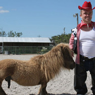 jackass number two 4枚目の写真・画像