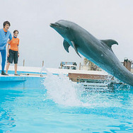 ドルフィンブルー フジ、もういちど宙（そら）へ 2枚目の写真・画像