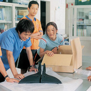 ドルフィンブルー フジ、もういちど宙（そら）へ 3枚目の写真・画像