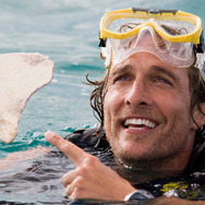 フールズ・ゴールド／カリブ海に沈んだ恋の宝石 3枚目の写真・画像