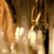 ハリー・ポッターと謎のプリンス 30枚目の写真・画像