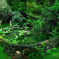 パコと魔法の絵本 3枚目の写真・画像