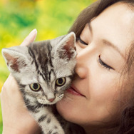 グーグーだって猫である 1枚目の写真・画像