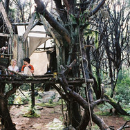 テラビシアにかける橋 6枚目の写真・画像