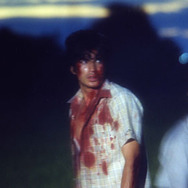 ハブと拳骨 5枚目の写真・画像