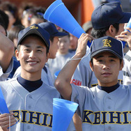 ひゃくはち 2枚目の写真・画像