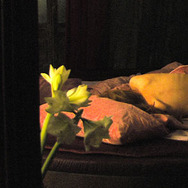 眠れる美女 4枚目の写真・画像