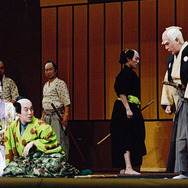 シネマ歌舞伎　野田版　研辰の討たれ 1枚目の写真・画像