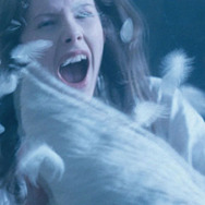 アメリカン・ホーンティング 1枚目の写真・画像