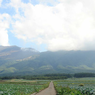 ジャージの二人 6枚目の写真・画像