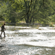 きつねと私の12か月 3枚目の写真・画像