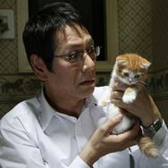 ネコナデ 7枚目の写真・画像