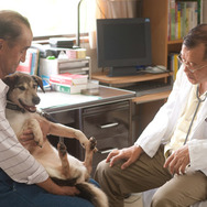 ディア・ドクター 9枚目の写真・画像