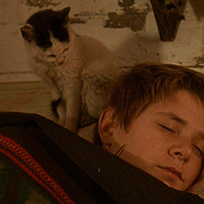 ウェディング・ベルを鳴らせ！ 3枚目の写真・画像