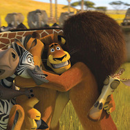 マダガスカル2 2枚目の写真・画像
