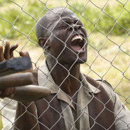 ブラッド・ダイヤモンド 6枚目の写真・画像