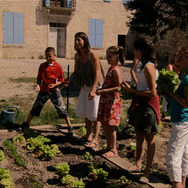 未来の食卓 3枚目の写真・画像