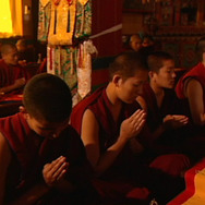 風の馬 5枚目の写真・画像