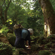 里山 4枚目の写真・画像