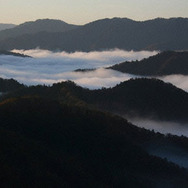 里山 5枚目の写真・画像