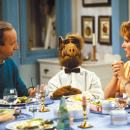 アルフ ［海外TVドラマ］ 2枚目の写真・画像