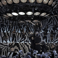 ゼブラーマン　ゼブラシティの逆襲 19枚目の写真・画像