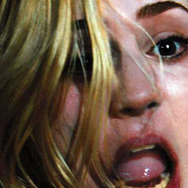 スペル 1枚目の写真・画像