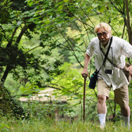 黄金花　-秘すれば花、死すれば蝶- 1枚目の写真・画像