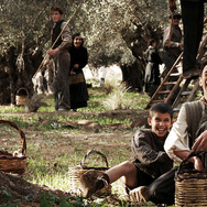 シチリア！シチリア！ 1枚目の写真・画像