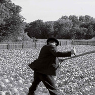 白いリボン 2枚目の写真・画像