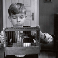 白いリボン 4枚目の写真・画像