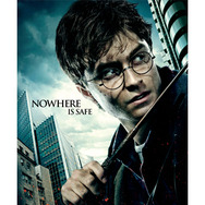 ハリー　-(C) 2010 Warner Bros. Ent.Harry Potter Publishing Rights (C) J.K.R. Harry Potter characters, names and related indicia are trademarks of and (C) Warner Bros. Ent. All Rights Reserved.
