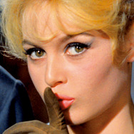 殿方ご免遊ばせ HDニューマスター版 1枚目の写真・画像