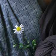 小川の辺 2枚目の写真・画像