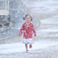 八日目の蟬 6枚目の写真・画像