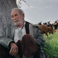 四つのいのち 1枚目の写真・画像