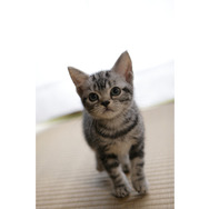 キミとボク 3枚目の写真・画像