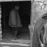 ニーチェの馬 2枚目の写真・画像