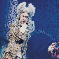 薔薇とサムライ 11枚目の写真・画像