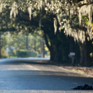 一枚のめぐり逢い 6枚目の写真・画像