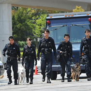 DOG×POLICE　純白の絆 6枚目の写真・画像