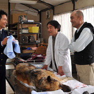 DOG×POLICE　純白の絆 10枚目の写真・画像