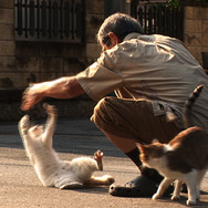 Peace 4枚目の写真・画像