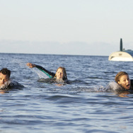 赤い珊瑚礁　オープン・ウォーター 1枚目の写真・画像