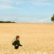 サラの鍵 5枚目の写真・画像